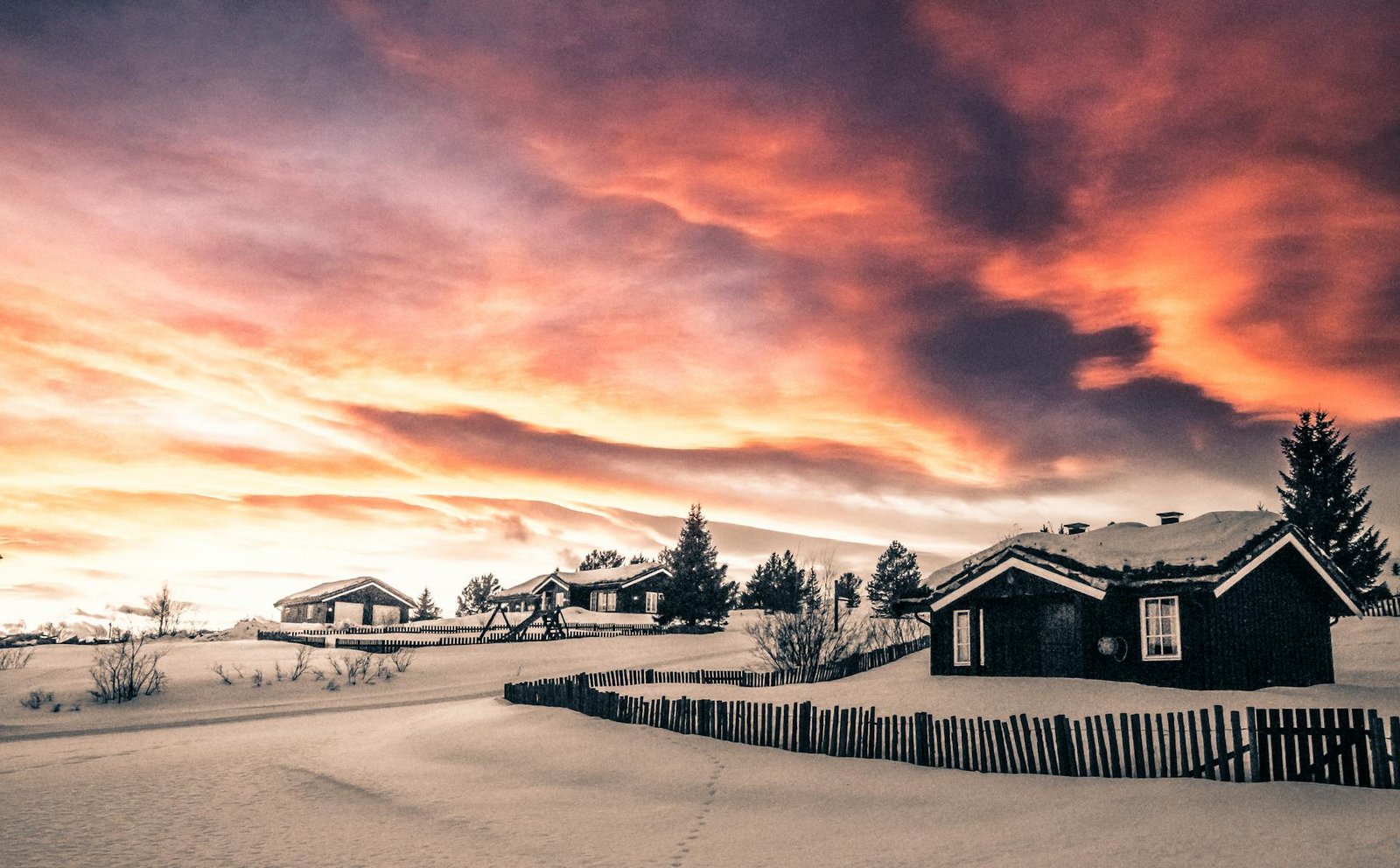 Foothills Property Management