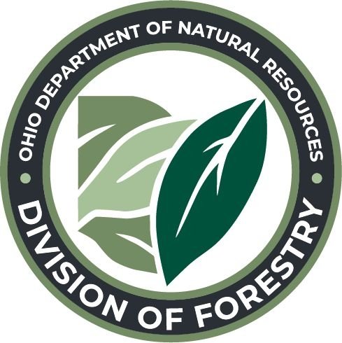 Division of Forestry Logo