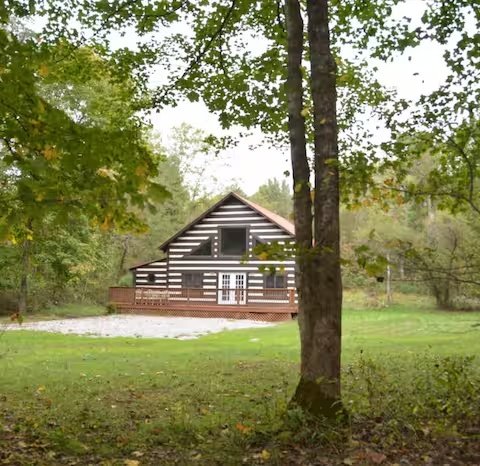 Cozy Hocking Hills cabin for 8 surrounded by trees